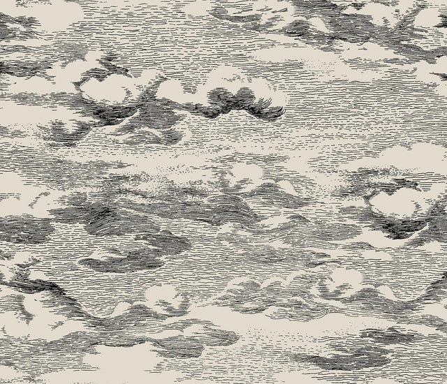 Seabrook Clouds Beige & Black Wallpaper