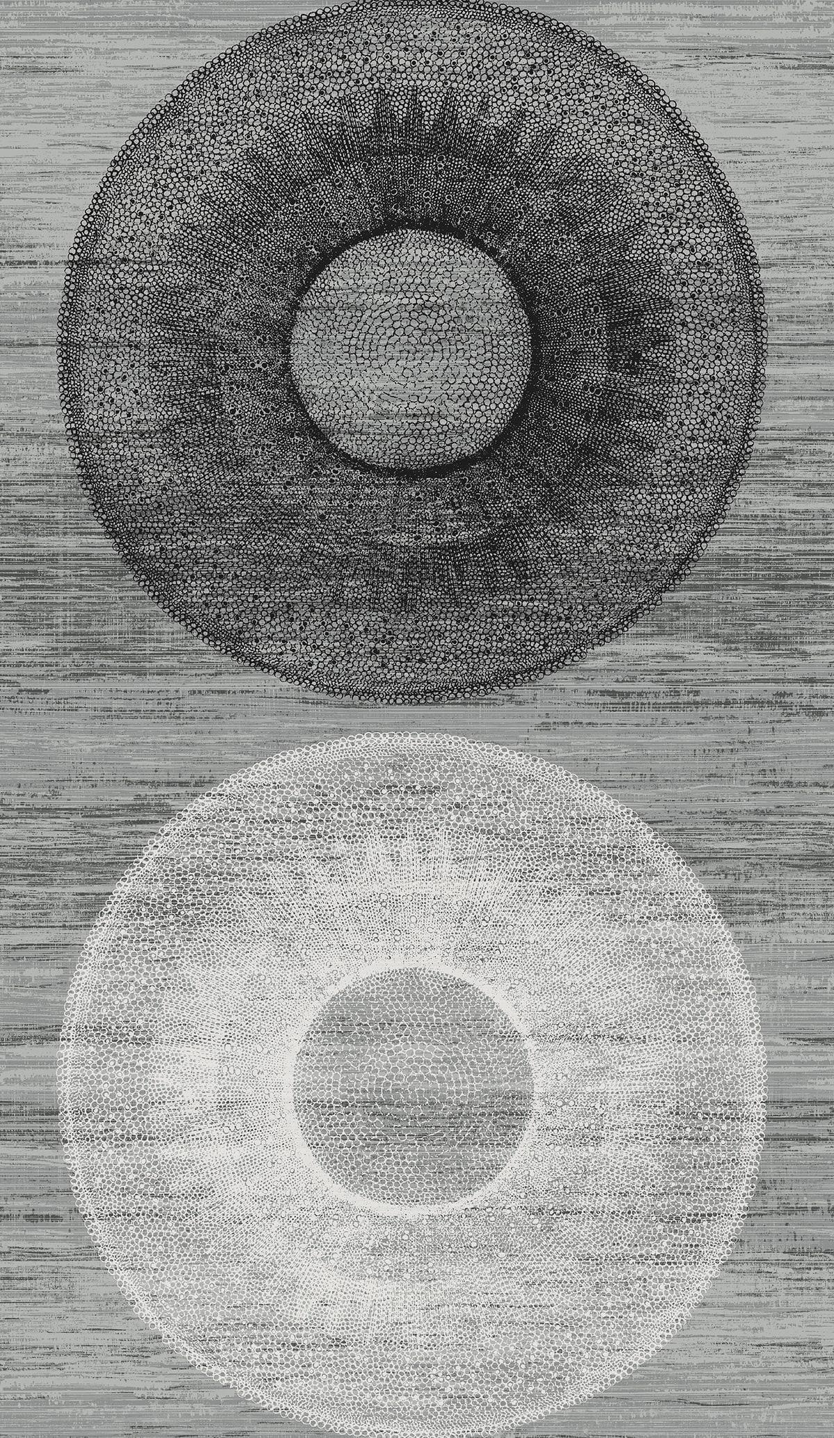 Seabrook Large Circle Monochrome Wallpaper