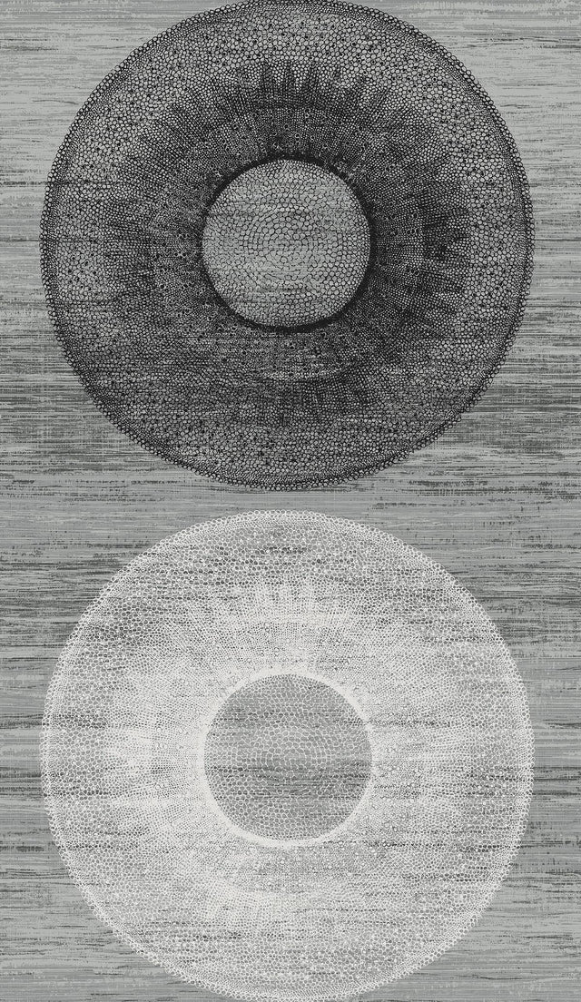 Seabrook Large Circle Monochrome Wallpaper