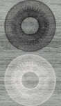 Seabrook Large Circle Monochrome Wallpaper