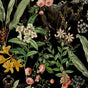 Seabrook Panther Jungle Onyx Wallpaper