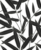 Seabrook Leaf Branch Trail Ebony Wallpaper