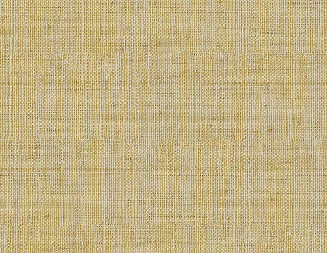 Seabrook Wild Bind Honey Wallpaper