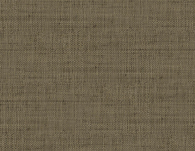 Seabrook Wild Bind Coffee Wallpaper