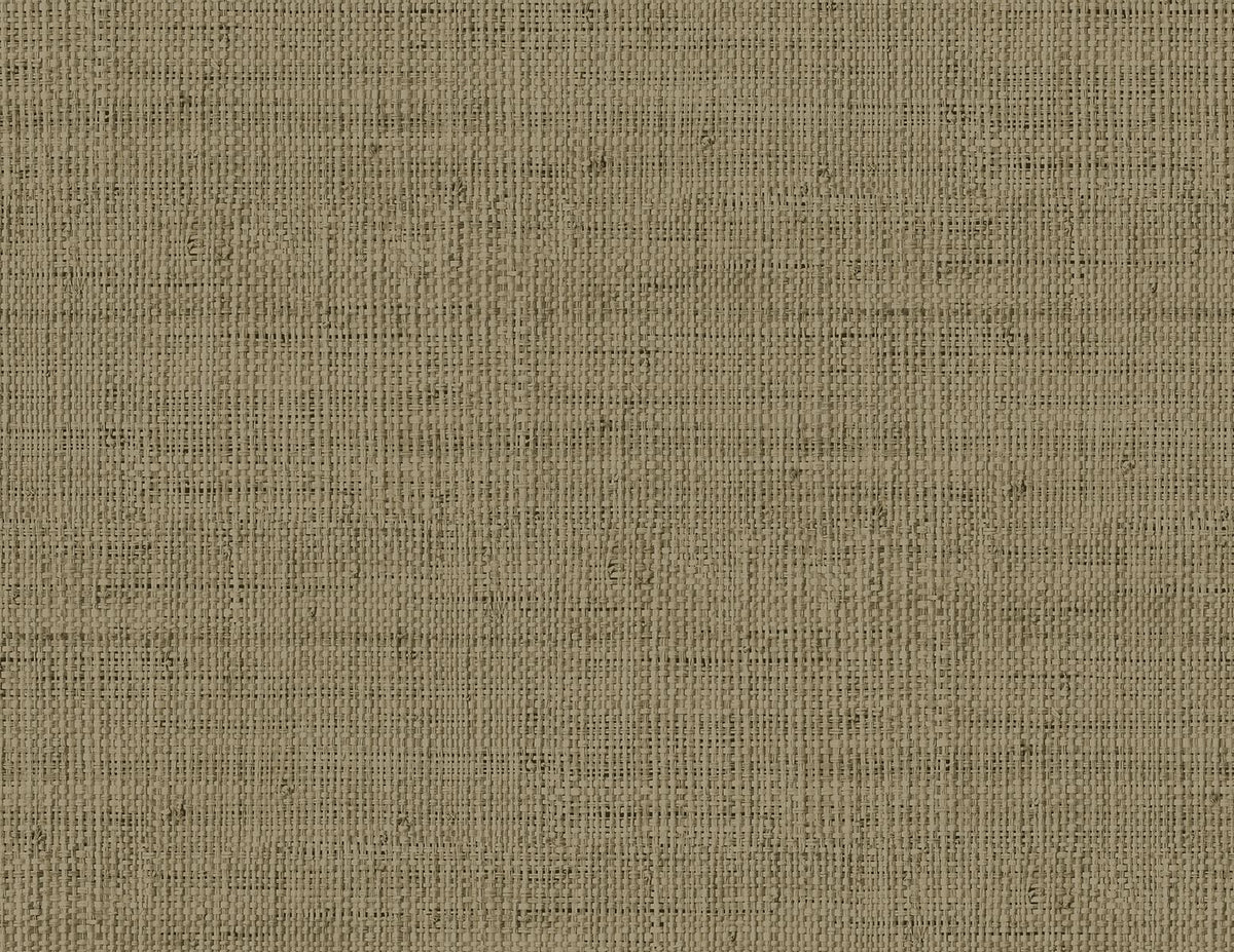 Seabrook Wild Bind Cafe Latte Wallpaper