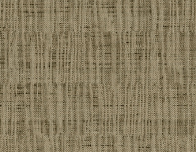 Seabrook Wild Bind Cafe Latte Wallpaper