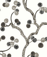 Seabrook Allegra Branches Cream & Rhino Wallpaper