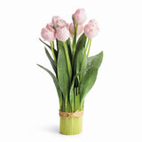 Napa Soft Pink PEONY TULIP BUNDLE DROP-IN 18"