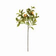Napa Green/Orange FAUX ORANGE STEMS 31", SET OF 4