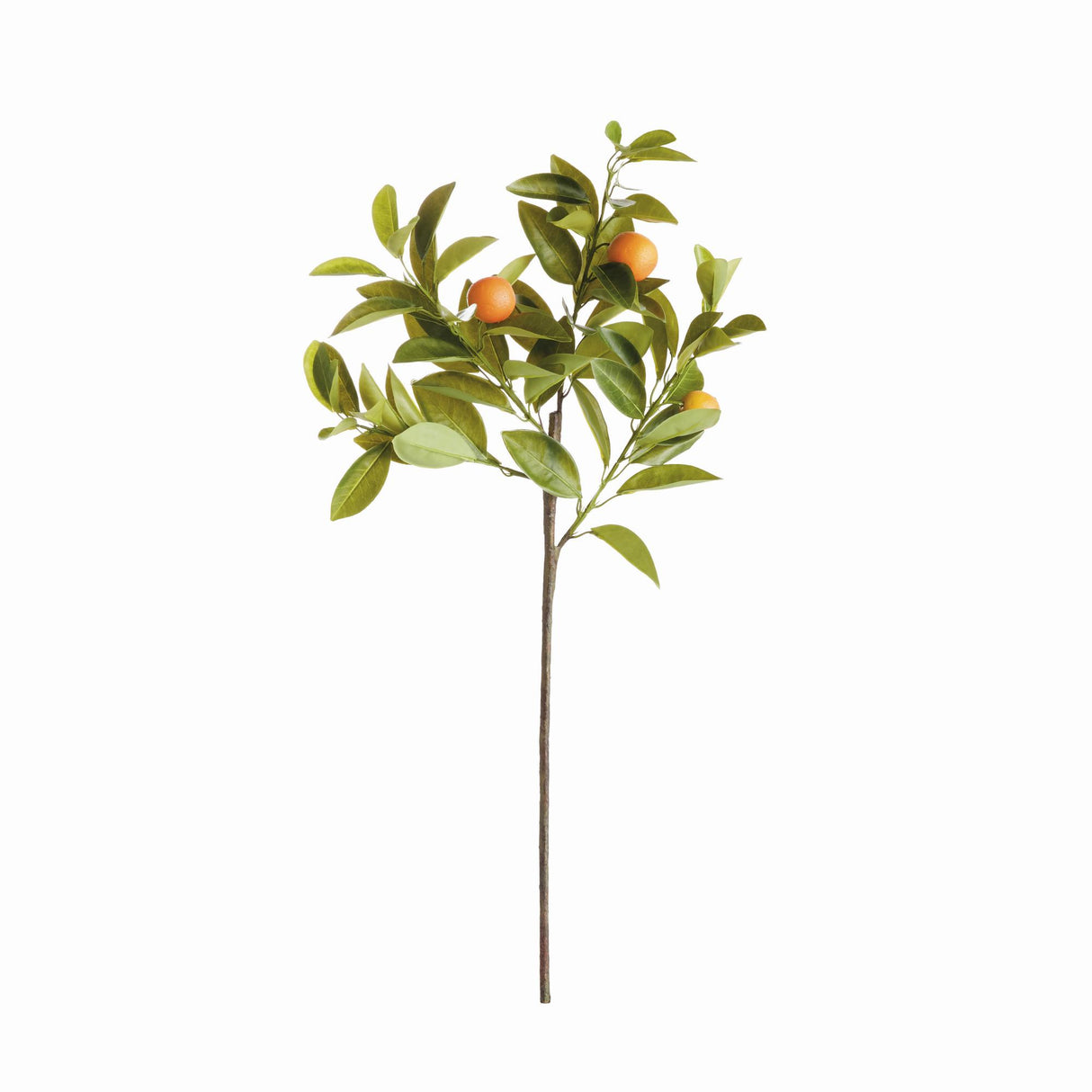 Napa Green/Orange FAUX ORANGE STEMS 31", SET OF 4