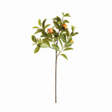 Napa Green/Orange FAUX ORANGE STEMS 31", SET OF 4