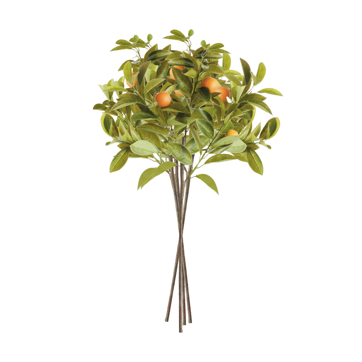 Napa Green/Orange FAUX ORANGE STEMS 31", SET OF 4