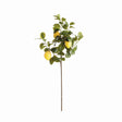 Napa Green/Yellow FAUX LEMON STEMS 31", SET OF 4
