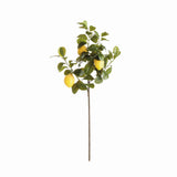 Napa Green/Yellow FAUX LEMON STEMS 31", SET OF 4