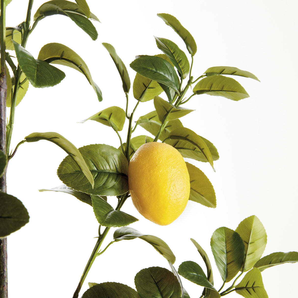 Napa Green/Yellow FAUX LEMON BRANCHES 43", SET OF 2