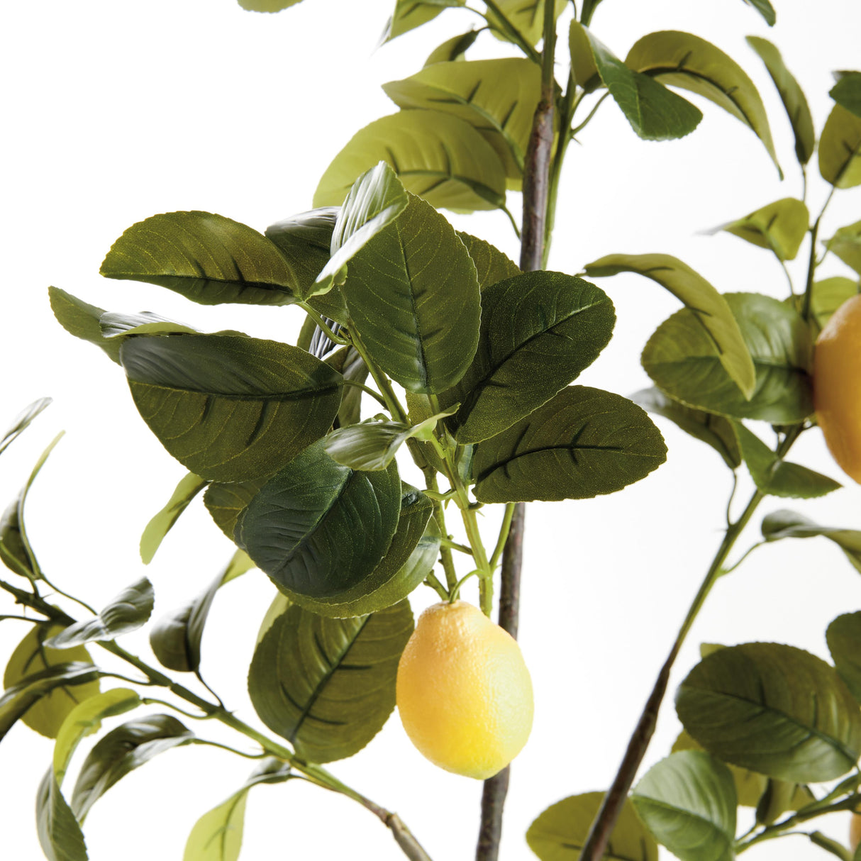 Napa Green/Yellow FAUX LEMON BRANCHES 43", SET OF 2