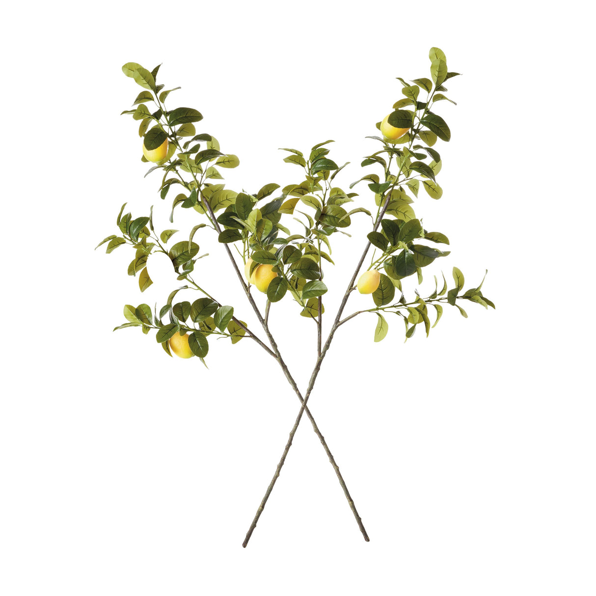 Napa Green/Yellow FAUX LEMON BRANCHES 43", SET OF 2
