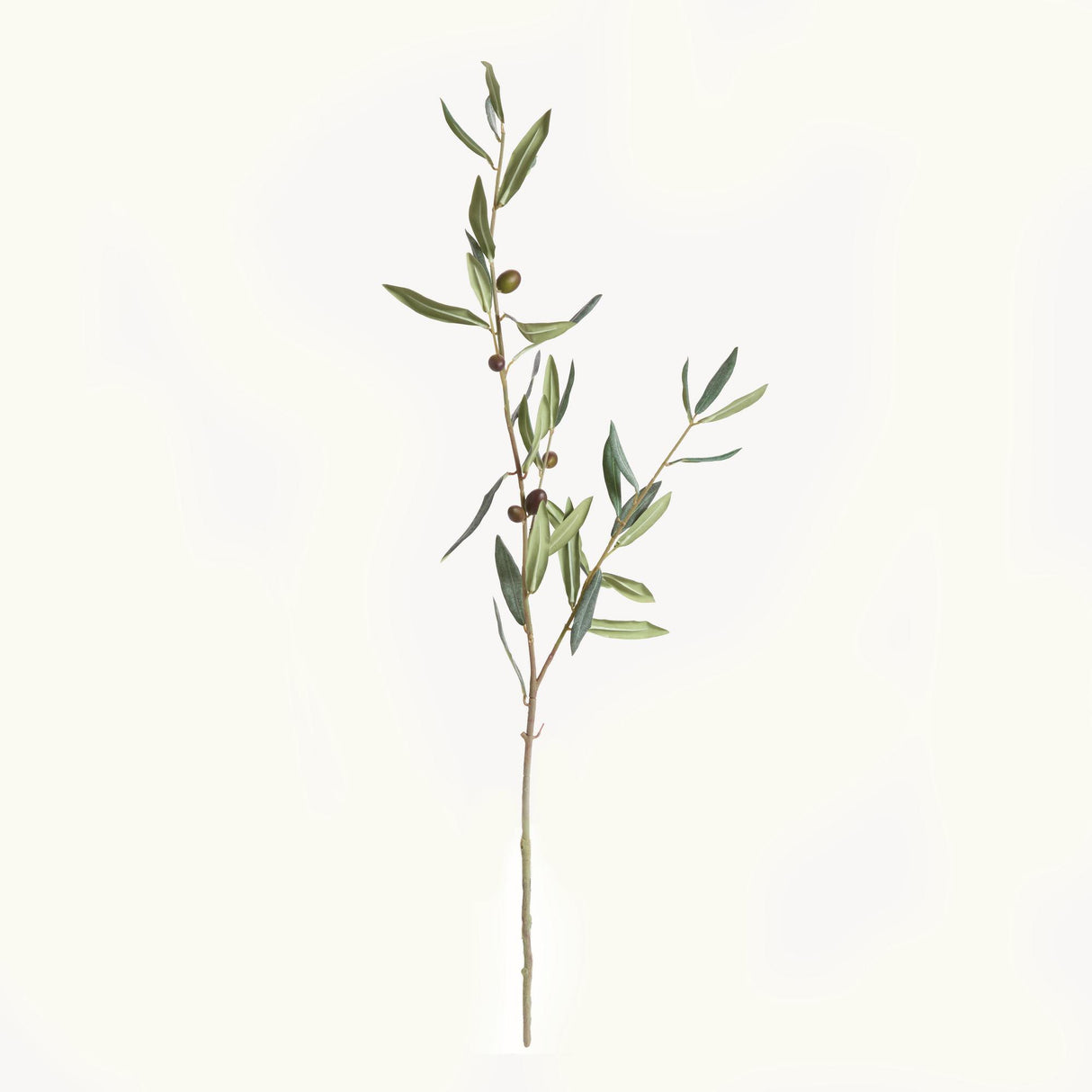 Napa Green OLIVE STEMS WITH OLIVES 32", SET OF 4