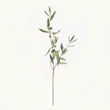 Napa Green OLIVE STEMS WITH OLIVES 32", SET OF 4