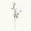 Napa Green OLIVE STEMS WITH OLIVES 32", SET OF 4