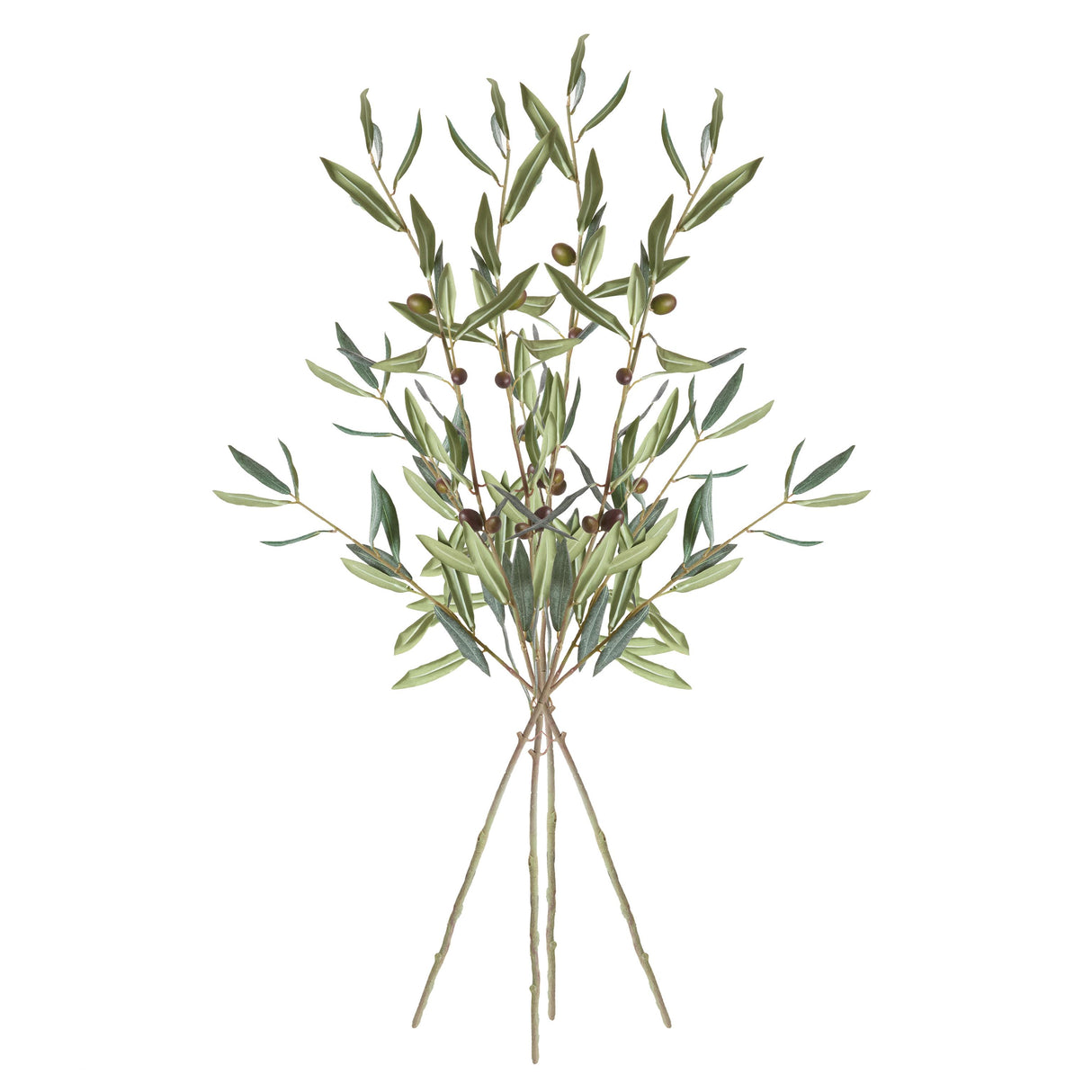 Napa Green OLIVE STEMS WITH OLIVES 32", SET OF 4