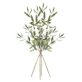 Napa Green OLIVE STEMS WITH OLIVES 32", SET OF 4