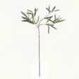 Napa Green OLIVE STEMS 30", SET OF 4
