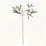 Napa Green OLIVE STEMS 30", SET OF 4