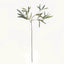 Napa Green OLIVE STEMS 30", SET OF 4