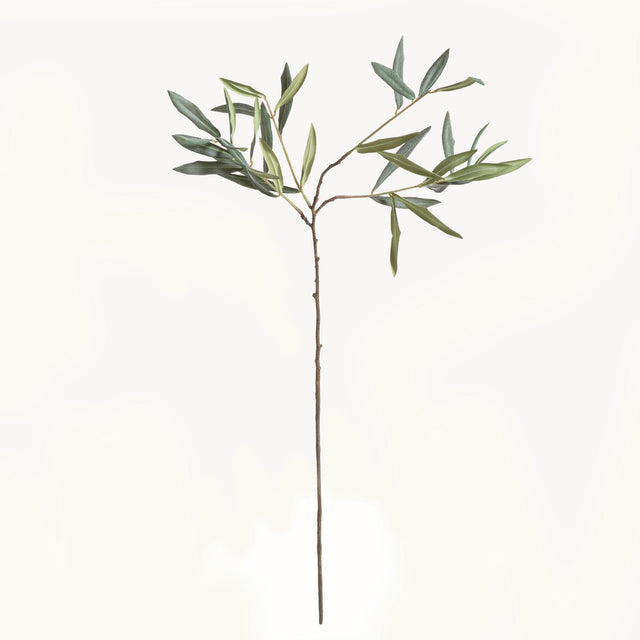 Napa Green OLIVE STEMS 30", SET OF 4