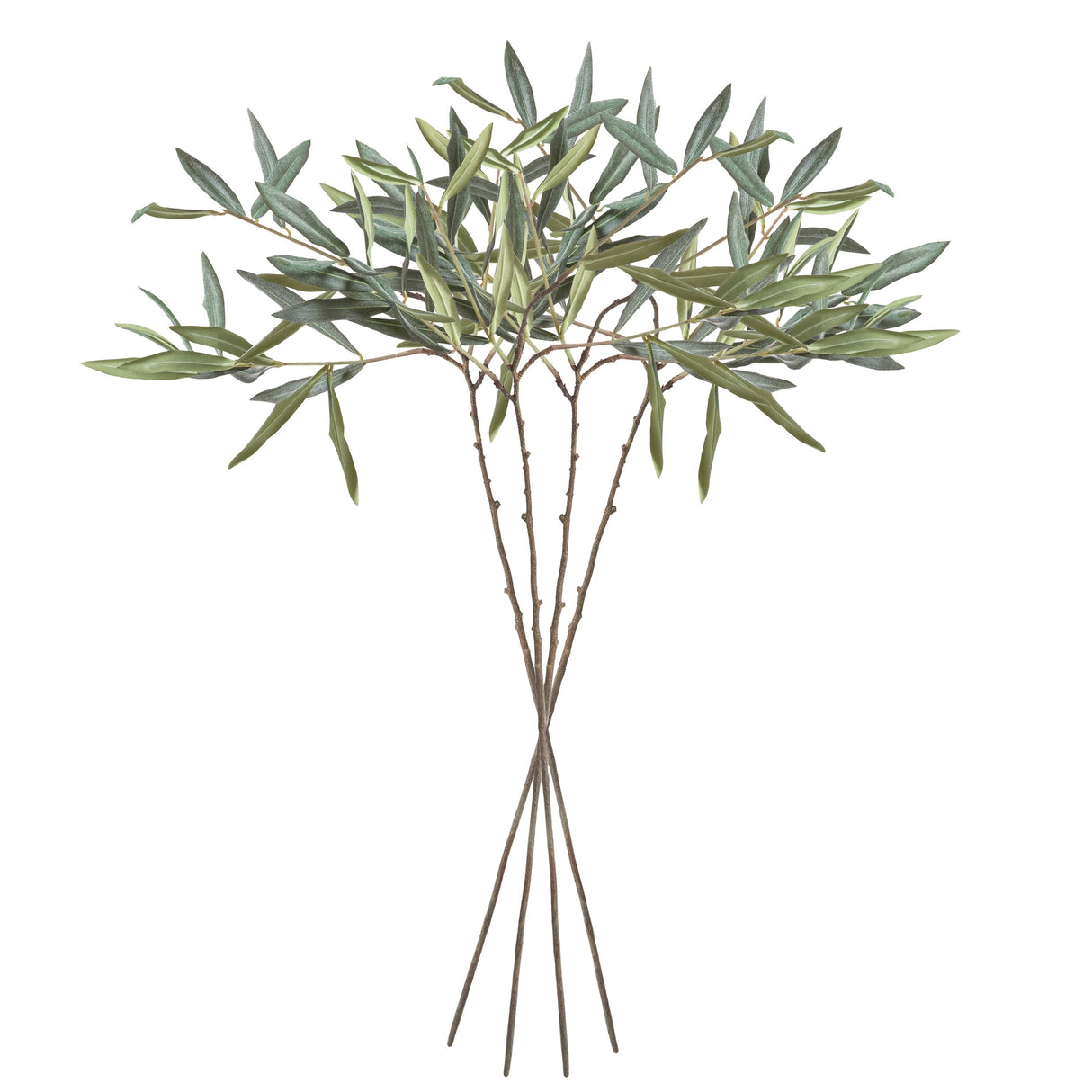 Napa Green OLIVE STEMS 30", SET OF 4