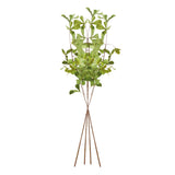 Napa Green SHADY LADY BLACK OLIVE STEMS 28", SET OF 4