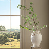 Napa Green SHADY LADY BLACK OLIVE STEMS 28", SET OF 4