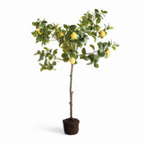Napa Green/Yellow FAUX LEMON TREE DROP-IN 49"