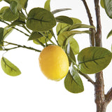 Napa Green/Yellow FAUX LEMON TREE DROP-IN 49"