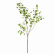 Napa Green SHADY LADY BLACK OLIVE BRANCHES 56", SET OF 2