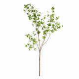 Napa Green SHADY LADY BLACK OLIVE BRANCHES 56", SET OF 2