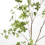 Napa Green SHADY LADY BLACK OLIVE BRANCHES 56", SET OF 2