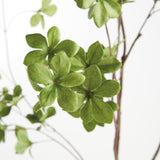 Napa Green SHADY LADY BLACK OLIVE BRANCHES 56", SET OF 2