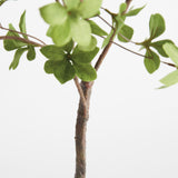 Napa Green SHADY LADY BLACK OLIVE BRANCHES 56", SET OF 2