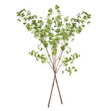 Napa Green SHADY LADY BLACK OLIVE BRANCHES 56", SET OF 2