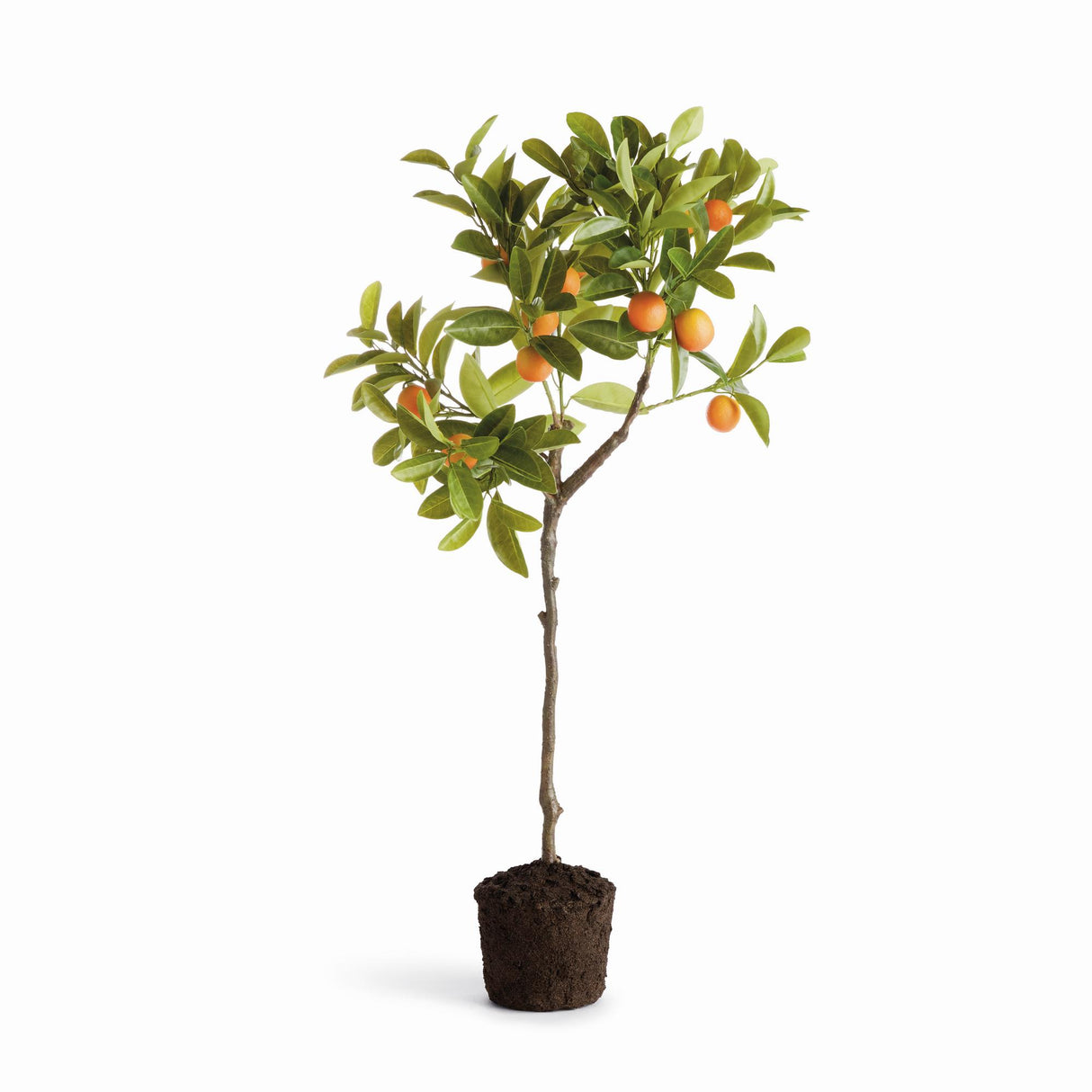 Napa Green/Orange FAUX KUMQUAT TREE DROP-IN 33"