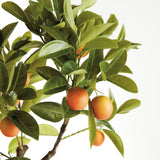 Napa Green/Orange FAUX KUMQUAT TREE DROP-IN 33"