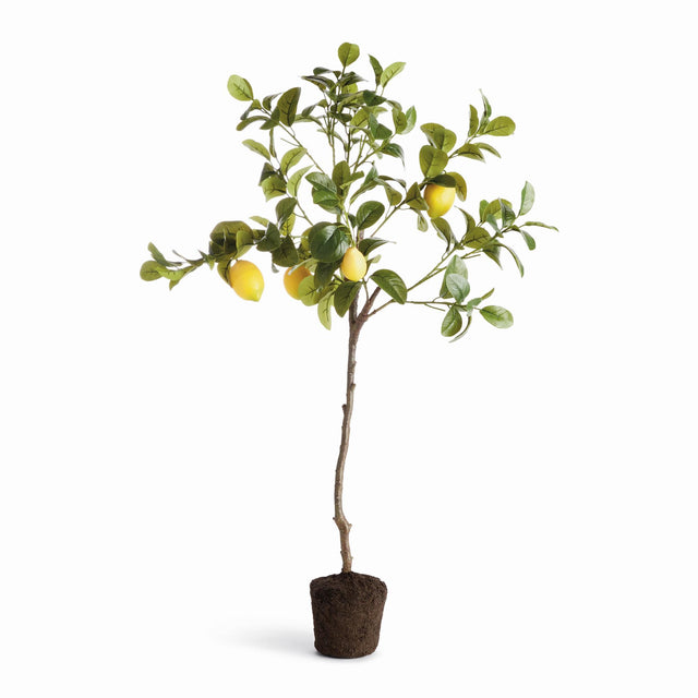 Napa Green/Yellow FAUX LEMON TREE DROP-IN 37"