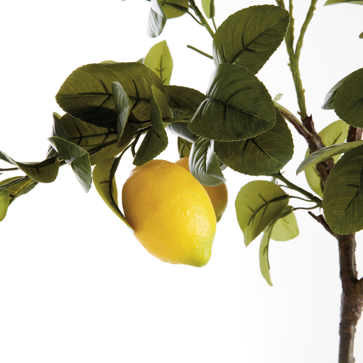 Napa Green/Yellow FAUX LEMON TREE DROP-IN 37"