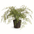 Napa Green MAIDENHAIR DROP-IN 37"