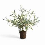 Napa Green OLIVE MINI TREE DROP-IN 17.5"