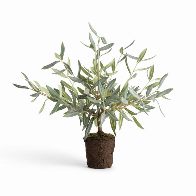 Napa Green OLIVE MINI TREE DROP-IN 17.5"