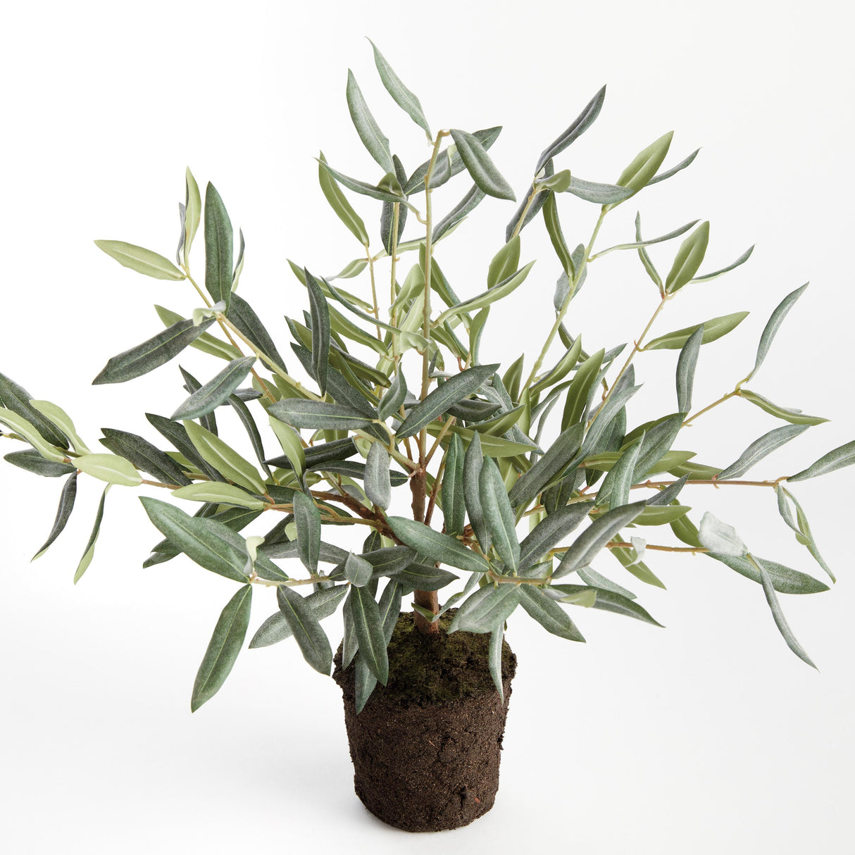 Napa Green OLIVE MINI TREE DROP-IN 17.5"