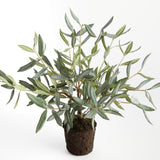 Napa Green OLIVE MINI TREE DROP-IN 17.5"